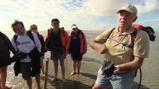 Wattenmeer  Erholung im Rhythmus der Natur  UNESCO Welterbe [upl. by Li67]