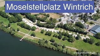 Moselstellplatz Wintrich  Wohnmobilstellpatz an der Mosel  womoclick [upl. by Kuth369]