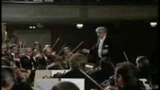 Mahler11flv [upl. by Drusus354]