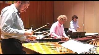 Concerto for Marimba amp Percussion Ensemble mvt 1 by Ney Rosauro  Marimba Literature Library [upl. by Leifeste]