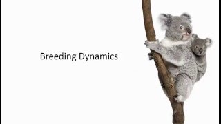 The koala on Kangaroo Island Breeding dynamics of an overabundant out of range herbivore [upl. by Alvinia]