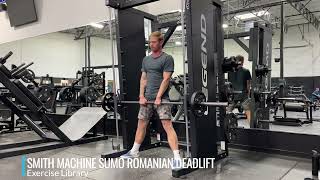 Smith Machine Sumo Romanian Deadlift [upl. by Flem357]