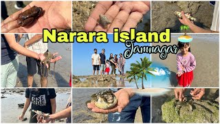 Narara Island Jamnagar🏝️Narara Marine National Park🐌Narara Tapu Jamnagar Gujrat [upl. by Teferi]