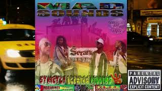 Madsounds Strictly Blazing Riddims Vol 3 reggae mixtape riddims [upl. by Bensen]