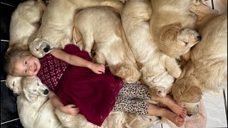 Adorable Baby Girl Meets Golden Retriever Puppy For The First Time Cutest Ever [upl. by Adlesirhc]