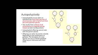 Polyploidy [upl. by Eceirtal537]