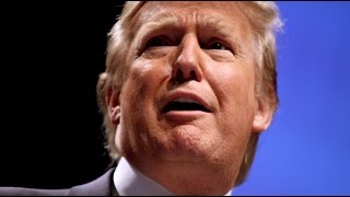 Top 10 Crazy Donald Trump Moments [upl. by Alegnave]