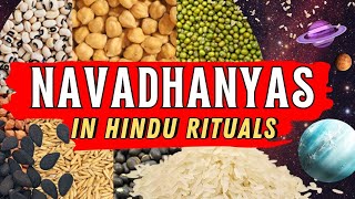 Navadhanya The Sacred Nine Grains in Hindu Culture [upl. by Mossberg]