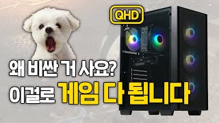 비싼 거 살 필요 없이 QHD 게이밍은 딱 이 견적으로 하면 됩니다 [upl. by Kcirddor895]