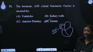 The hormone ANF Atrial Natriuretic Factor is secreted by [upl. by Nyleek]