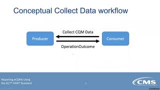 Reporting eCQMs Using the FHIR Standard Webinar [upl. by Darelle807]