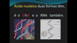 MÚSICA ÁCIDOS NUCLEICOS dna rna música biologia [upl. by Fabozzi]