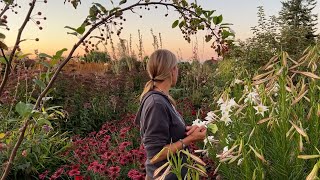 Floret Farm Tour Fall Cutting Garden [upl. by Hoisch]