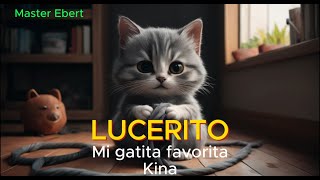 LUCERITO  MI GATITA FAVORITA  KINA Video Oficial [upl. by Rellim]