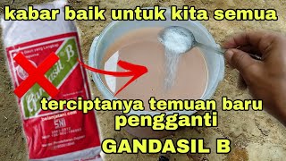 saya tidak beli pupuk GANDASIL B lagi setelah tau bahan ini bisa menggantikannya [upl. by Ydnih942]