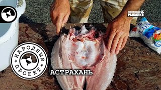 Балык из жереха  Полевая кухня [upl. by Ahseyn]