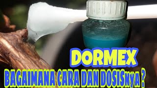 CARA APLIKASI DORMEX untuk memecahkan tunasbud pada pohon ANGGUR [upl. by Roland]