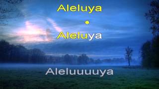 Aleluya  hallelujah  Pista Cristiana Español  KARAOKE [upl. by Pedaiah638]