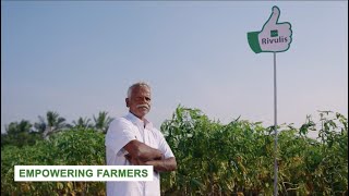 Rivulis Drip Irrigation System in Tapioca amp Maize  Tamil Nadu [upl. by Mendy198]