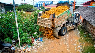 Start a New Project Landfill on Flooded Area by Bulldozer KOMATSU D20P Pushing Stone amp 5Ton Truck [upl. by Halyk755]