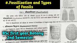 What is Fossilization  Types of Fossil in hindi  BSc first year Botany Second Semester [upl. by Encrata]