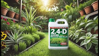 🌱 Gordons Amine 400 24D Weed Killer 1 Gallon  Best 2 4 D Amine Broadleaf Weed Killer 🌱 [upl. by Ayala]