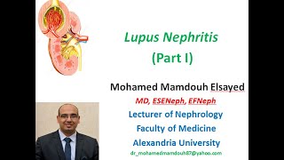 Lupus Nephritis part 1 [upl. by Niltak]