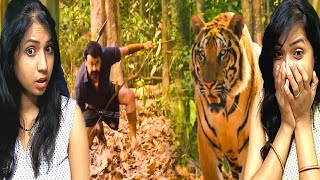 Pulimurugan Tiger Fight Scene REACTION  Mohanlal Tiger Movie  Mohanlal Tiger Fight [upl. by Viddah]