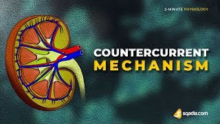 Countercurrent Mechanism  2Minute Physiology Video  Medical Education  VLearning [upl. by Eille]