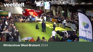 Wintershow WestBrabant 2024 [upl. by Bellis]