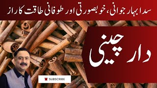 Dar Cheeni Cinnamon Ke Fawaid دار چینی کے فوائد [upl. by Lanette]