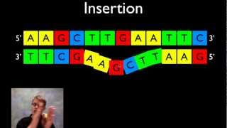 Mutations in DNA [upl. by Eugaet478]