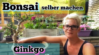 Bonsai  Bonsai selber machen  Rettungsaktion eines Ginkgo aus meinem Garten  Bonsai erstellen [upl. by Yalhsa]