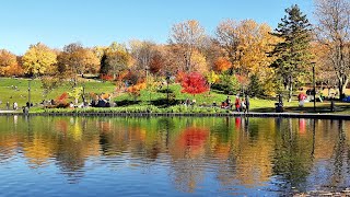 Octobre  Avant la plui  Mont Royal [upl. by Mame352]