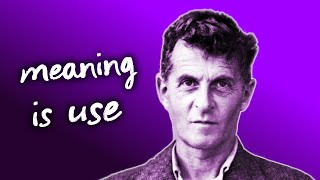 Wittgenstein on Meaning [upl. by Dolley709]