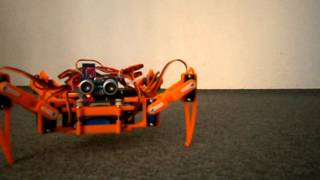 Robot Quadruped [upl. by Alic953]