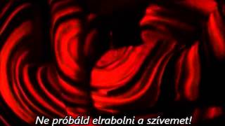 Enrique Iglesias ft Nicole Scherzinger  Heartbeat Hungarian lyrics [upl. by Alika]