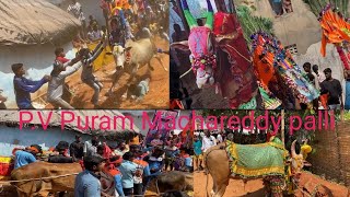 PV PuramMachaReddy Palli Jallikattu 2024 [upl. by Cower]