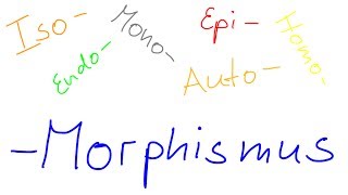 Alle Morphismen im Überblick Iso Mono Epi Endo Auto Homomorphismus [upl. by Ael]