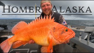 3 Days Fishing Homer Alaska Offshore Adventure [upl. by Alsi]