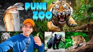 Rajiv Gandhi Zoological Park Pune  Katraj Zoo  Complete Guide  Pune Zoo White Tiger [upl. by Flagler]