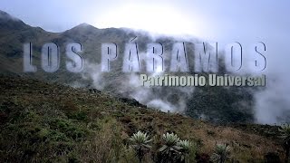 VIDEO LOS PÁRAMOS PATRIMONIO UNIVERSAL [upl. by Harewood]