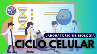 Laboratorio de Biología Ciclo celular [upl. by Aniteb223]