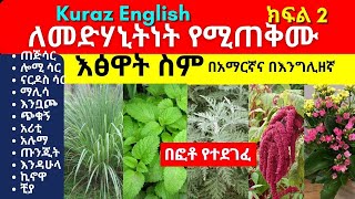 ለመድሃኒትነት የሚጠቅሙ እፅዋት ስም  Names of Ethiopian medicinal plants and herbs  Part 2 [upl. by Ger522]