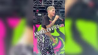 CAZZU  ANIMAL EN VIVO FESTIVAL VIBRA URBANA 🇺🇲 Shorts [upl. by Henricks]