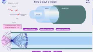 Propagation de la lumière dans une fibre optique [upl. by Wiersma]