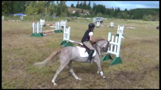 Sarah Haberman Lincoln Creek Pony Club Schooling Horse Trials August 2016 [upl. by Aihcrop240]