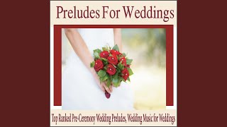 Great Is Thy Faithfulness Wedding Music Version [upl. by Spiros]