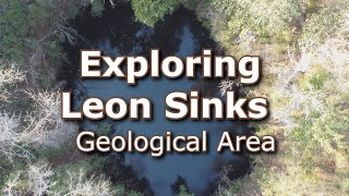 Exploring Big Dismal amp Leon Sinks Geological Area [upl. by Eenel45]