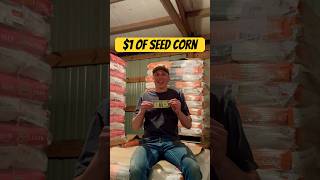 How Much Seed Corn Does 1 Buy farming agriculture [upl. by Drooff]